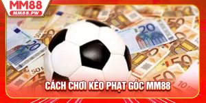 Cách Chơi Kèo Phạt Góc Dễ Hiểu Và Tăng Cơ Hội Thắng